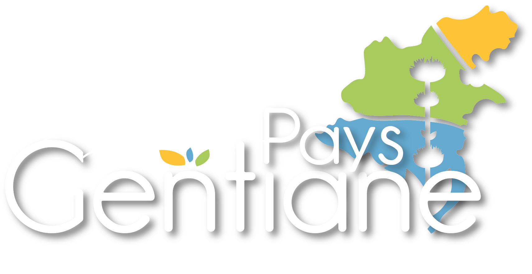 Logo du Pays Gentiane